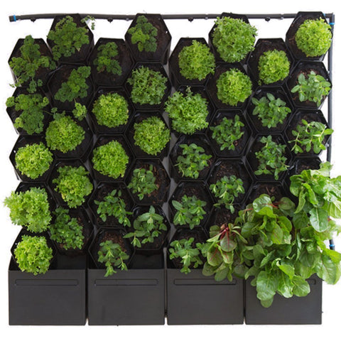 Vicinity Greenwall 40 Pots, Tanks, Pump & Irrigation Kit 1.2m x 1.2m