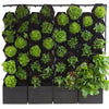 Image of Vicinity Greenwall 40 Pots, Tanks, Pump & Irrigation Kit 1.2m x 1.2m