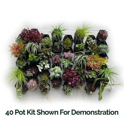 Vicinity Greenwall Vertical Garden Kit - 20 Pots