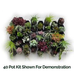 Vicinity Greenwall Vertical Garden Kit - 20 Pots