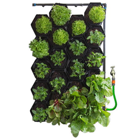 Vicinity Greenwall Vertical Garden Kit - 20 Pots