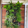 Image of Vicinity Greenwall Vertical Garden Kit - 20 Pots