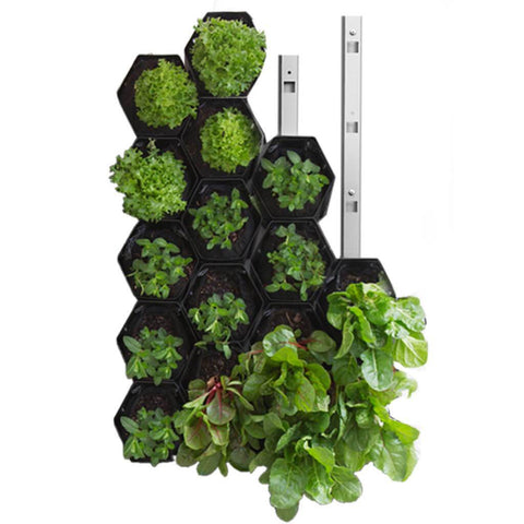 Vicinity Greenwall Vertical Garden Kit - 20 Pots