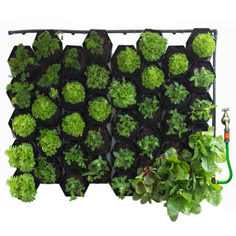 Vicinity Greenwall Vertical Garden Kit - 40 Pots