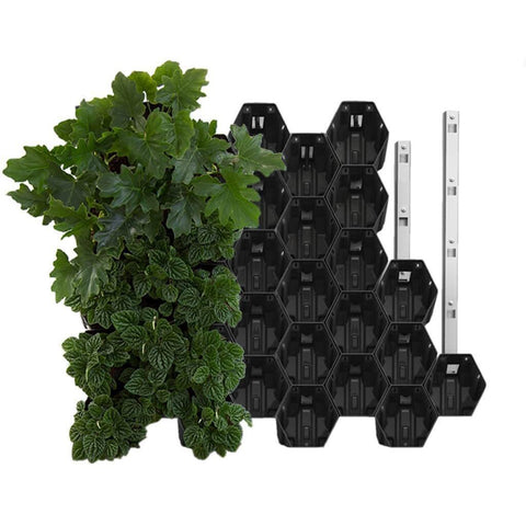 Vicinity Greenwall Vertical Garden Kit - 40 Pots