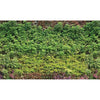 Image of Wall of Plants Custom Size UV Printed Fence Cover