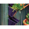 Image of Wallgarden Multi Hang 10 Pot Vertical Garden Wall Kit