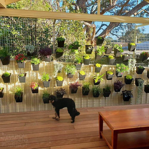 hanging vertical garden planter Wallgarden Multi Hang 20 Pot Vertical Garden Wall Kit – Vertical Gardens Direct