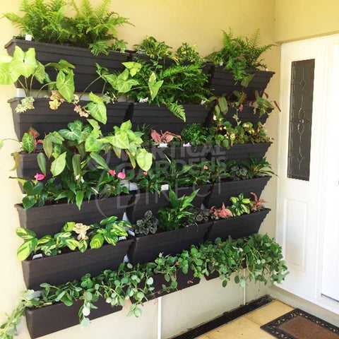 Wallgarden Original 10 Pot Vertical Garden Wall Kit