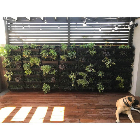 Wallgarden Original 10 Pot Vertical Garden Wall Kit