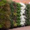 Image of Wallgarden Original 10 Pot Vertical Garden Wall Kit