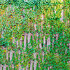 Image of Wooden Slats With Ivy Custom Size UV Printed Fence Cover