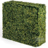 Image of Yellow Boxwood Artificial Freestanding Hedge 75cm x 75cm x 25cm UV Stabilised