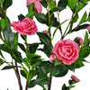 Image of Artificial Camellia Tree Flowering Natural Pink 180cm