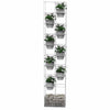 Image of RapidBloom Reo Vertical Garden Wall Planter Box - White