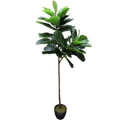 Premium Artificial Fiddle Leaf Fig Tree 170cm UV Resistant